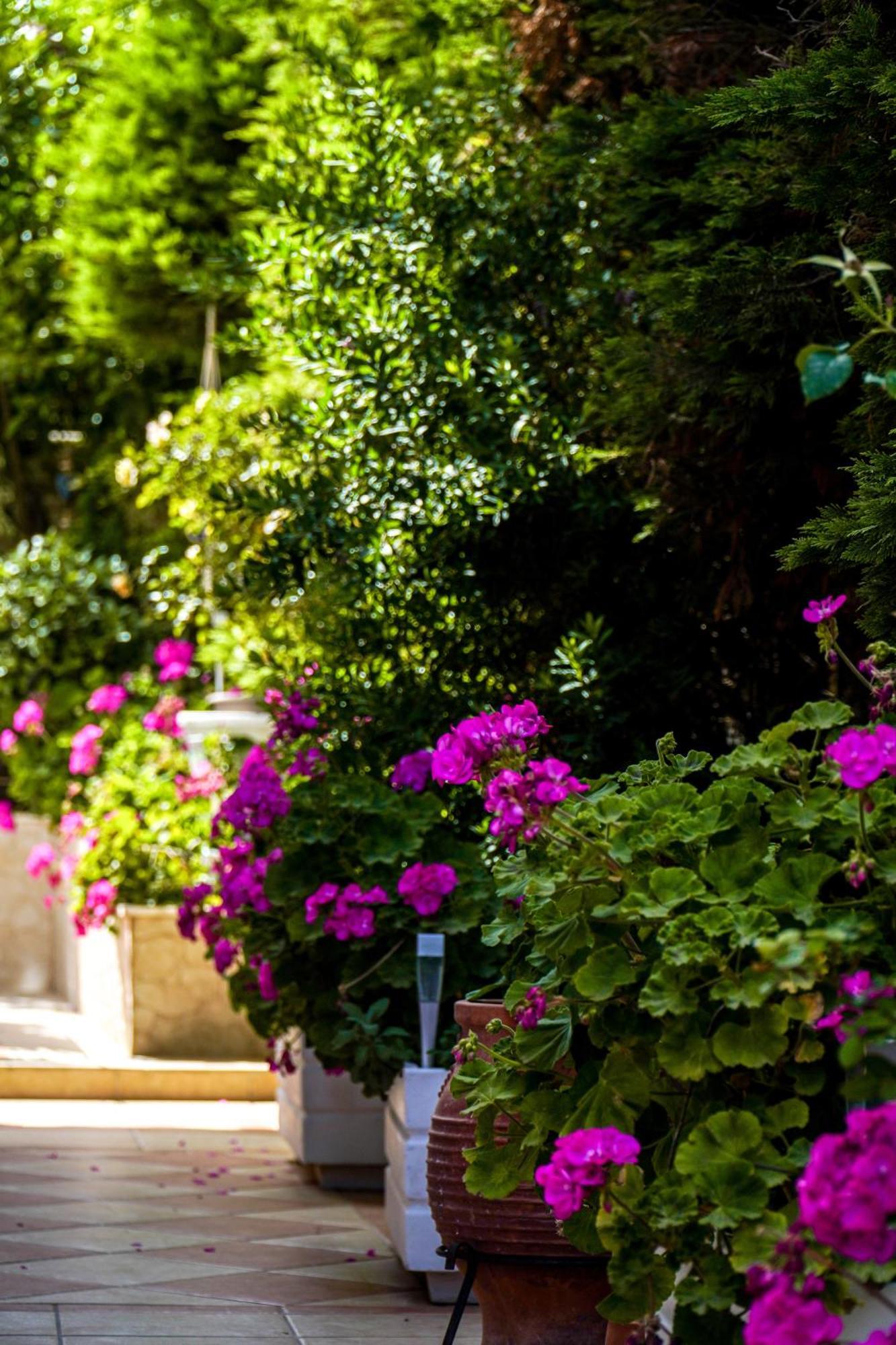 Cozy Artemis House Near Athens Airport Leilighet Eksteriør bilde