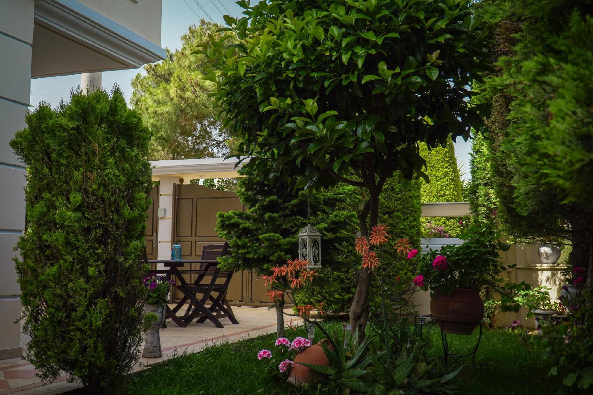 Cozy Artemis House Near Athens Airport Leilighet Eksteriør bilde